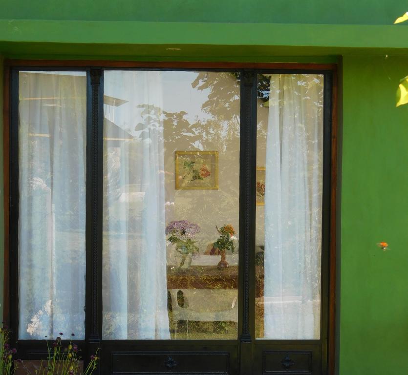Apartment Celandine