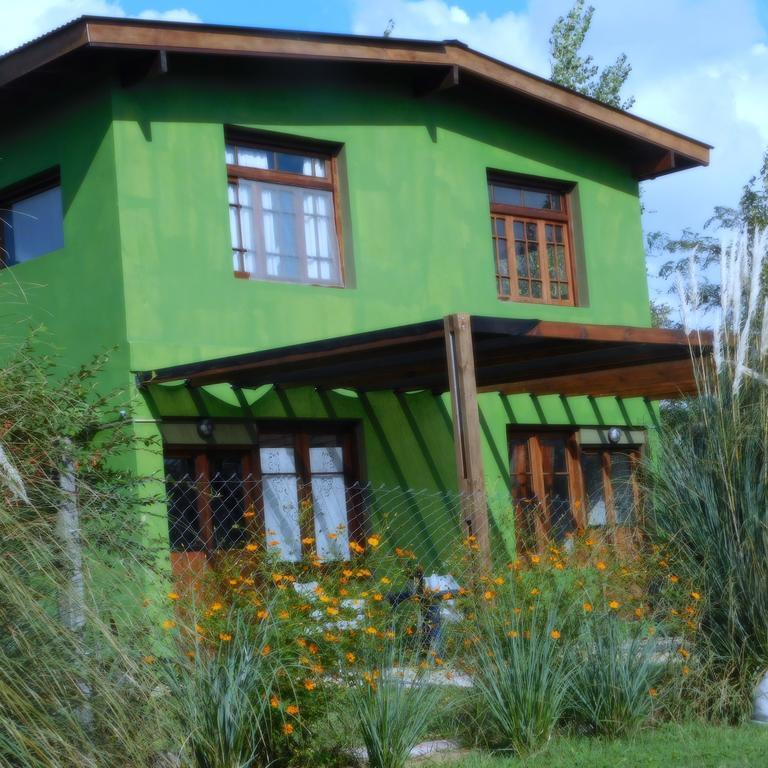 Celandine Los Reartes