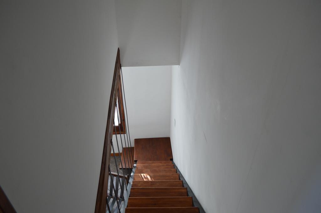 Celandine * Los Reartes