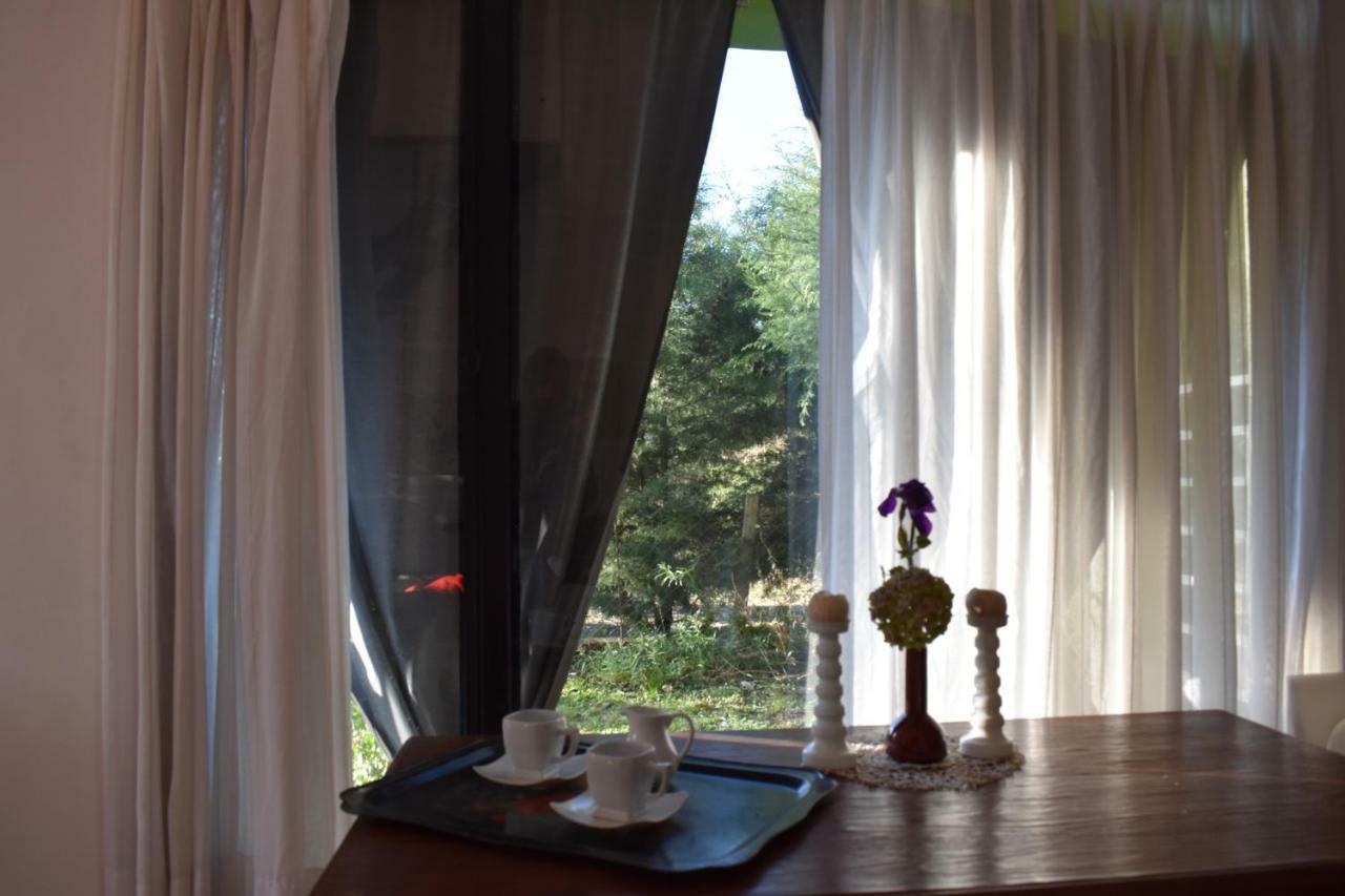 Celandine Apartment