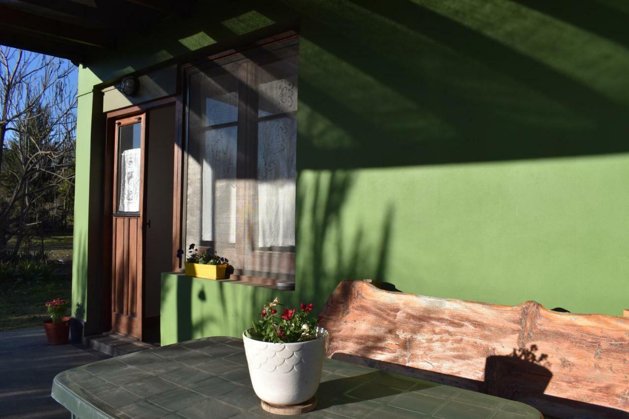 Apartment Celandine