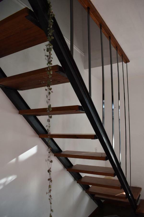 Apartamento Celandine *